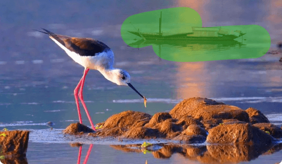 Remove Object from Image — PerfectMyPics